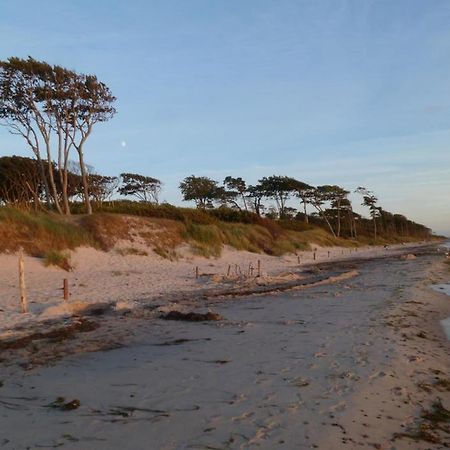 Piratenhus Prerow Buitenkant foto