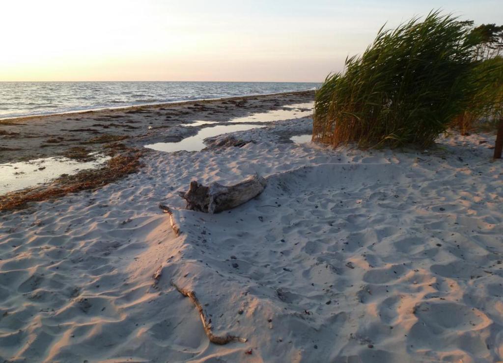Piratenhus Prerow Buitenkant foto